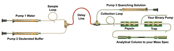 Simlified schematic of HD Exchange MS System hdx schematic new